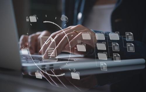 Entity Setup & Business Structuring